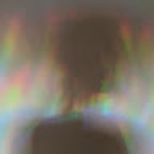 Meet your Posher, Bear